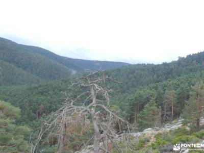 Monte Valsaín-Colada Fuenfría; la peñota desembocadura del tajo embalse de cijara sierra de castril 